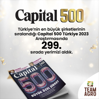 Capital 500 Araştırmasında 227. Sıradayız!